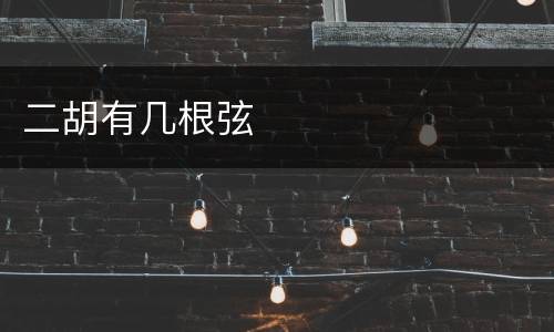 二胡有几根弦