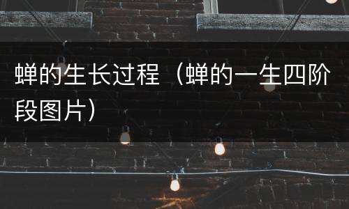 蝉的生长过程（蝉的一生四阶段图片）