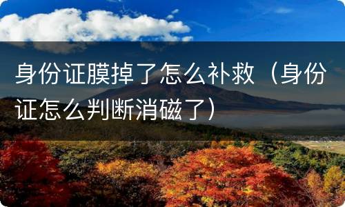 身份证膜掉了怎么补救（身份证怎么判断消磁了）