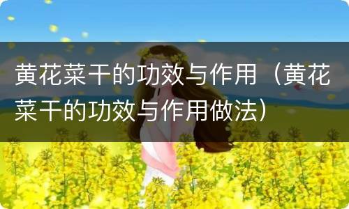 黄花菜干的功效与作用（黄花菜干的功效与作用做法）