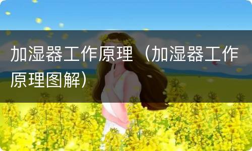 加湿器工作原理（加湿器工作原理图解）