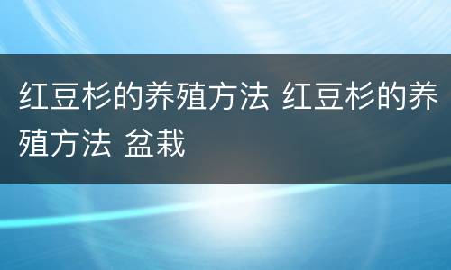 红豆杉的养殖方法 红豆杉的养殖方法 盆栽