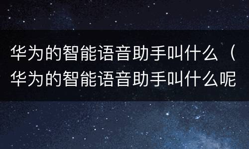华为的智能语音助手叫什么（华为的智能语音助手叫什么呢?）