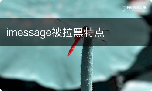 imessage被拉黑特点