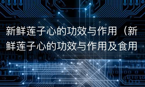 新鲜莲子心的功效与作用（新鲜莲子心的功效与作用及食用方法）