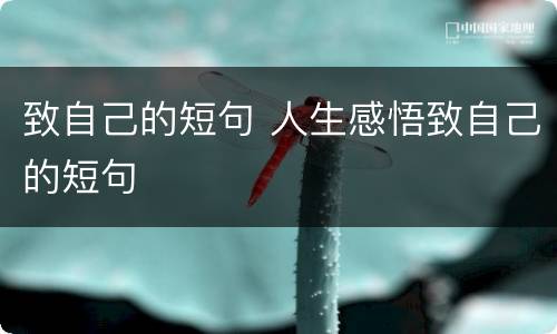 致自己的短句 人生感悟致自己的短句