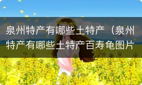 泉州特产有哪些土特产（泉州特产有哪些土特产百寿龟图片）