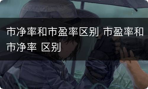 市净率和市盈率区别 市盈率和市净率 区别