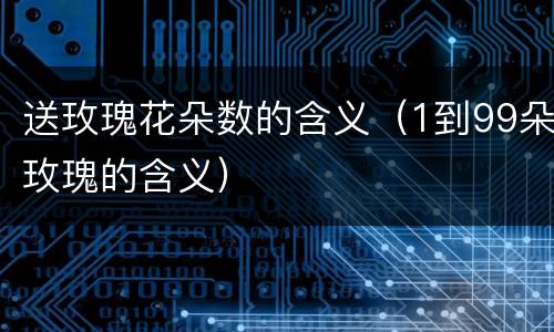 送玫瑰花朵数的含义（1到99朵玫瑰的含义）