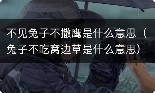 不见兔子不撒鹰是什么意思（兔子不吃窝边草是什么意思）