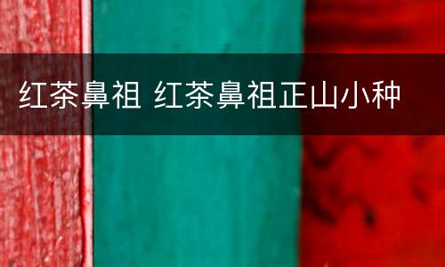 红茶鼻祖 红茶鼻祖正山小种