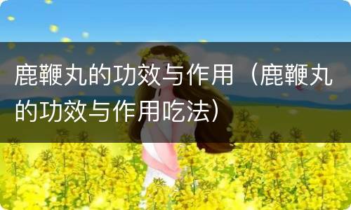 鹿鞭丸的功效与作用（鹿鞭丸的功效与作用吃法）