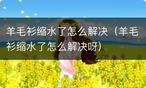 羊毛衫缩水了怎么解决（羊毛衫缩水了怎么解决呀）