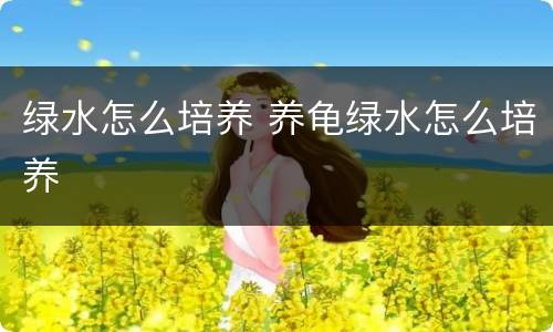 绿水怎么培养 养龟绿水怎么培养
