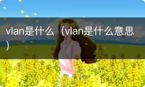 vlan是什么（vlan是什么意思）