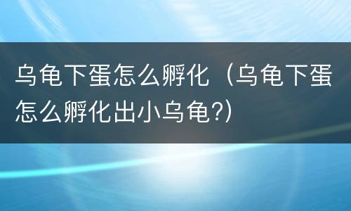 乌龟下蛋怎么孵化（乌龟下蛋怎么孵化出小乌龟?）