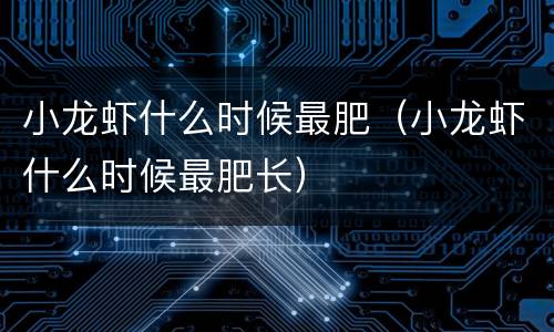 小龙虾什么时候最肥（小龙虾什么时候最肥长）