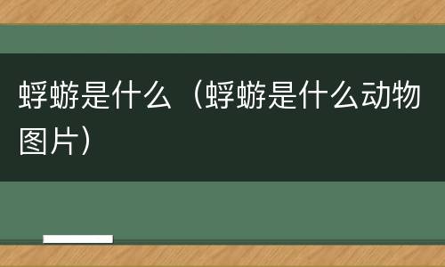蜉蝣是什么（蜉蝣是什么动物图片）