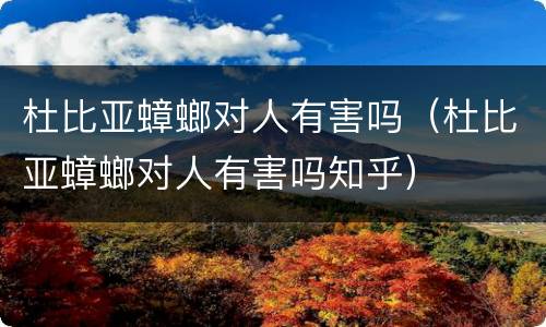 杜比亚蟑螂对人有害吗（杜比亚蟑螂对人有害吗知乎）