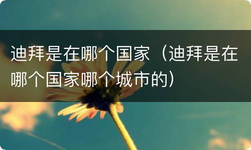 迪拜是在哪个国家（迪拜是在哪个国家哪个城市的）