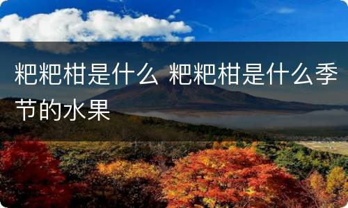 粑粑柑是什么 粑粑柑是什么季节的水果