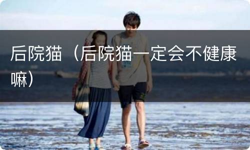 后院猫（后院猫一定会不健康嘛）
