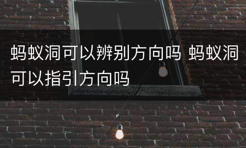 蚂蚁洞可以辨别方向吗 蚂蚁洞可以指引方向吗
