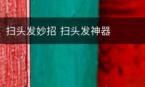 扫头发妙招 扫头发神器