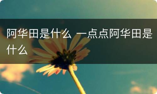 阿华田是什么 一点点阿华田是什么