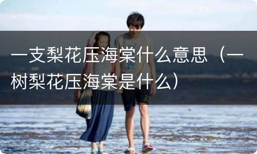 一支梨花压海棠什么意思（一树梨花压海棠是什么）