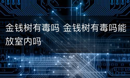 金钱树有毒吗 金钱树有毒吗能放室内吗