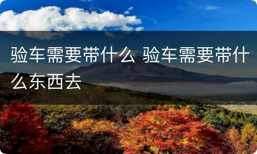 验车需要带什么 验车需要带什么东西去