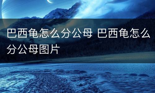 巴西龟怎么分公母 巴西龟怎么分公母图片