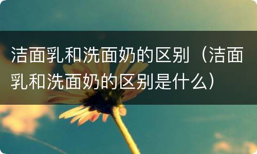 洁面乳和洗面奶的区别（洁面乳和洗面奶的区别是什么）