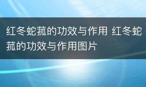 红冬蛇菰的功效与作用 红冬蛇菰的功效与作用图片