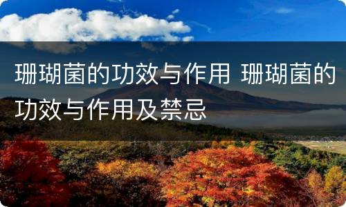 珊瑚菌的功效与作用 珊瑚菌的功效与作用及禁忌