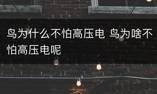 鸟为什么不怕高压电 鸟为啥不怕高压电呢