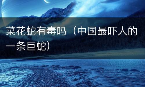 菜花蛇有毒吗（中国最吓人的一条巨蛇）