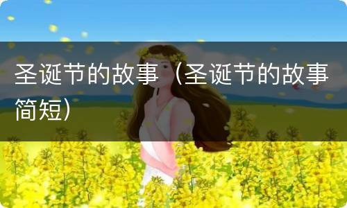 圣诞节的故事（圣诞节的故事简短）