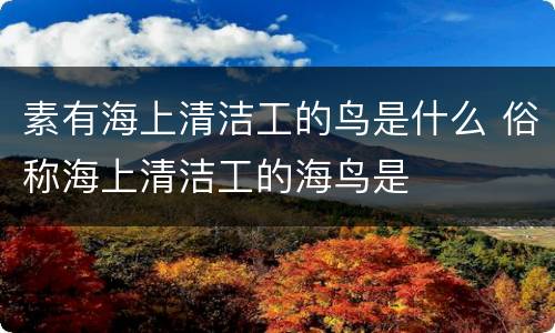 素有海上清洁工的鸟是什么 俗称海上清洁工的海鸟是