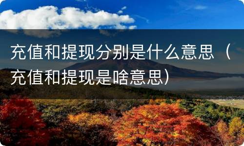 充值和提现分别是什么意思（充值和提现是啥意思）