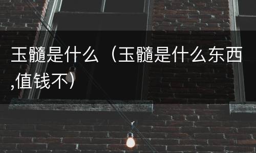 玉髓是什么（玉髓是什么东西,值钱不）