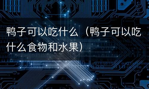 鸭子可以吃什么（鸭子可以吃什么食物和水果）