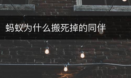 蚂蚁为什么搬死掉的同伴