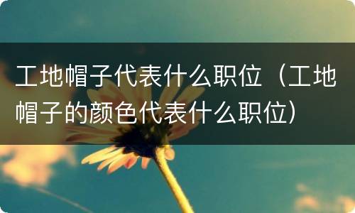 工地帽子代表什么职位（工地帽子的颜色代表什么职位）