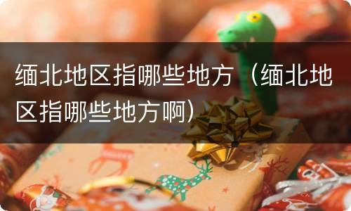 缅北地区指哪些地方（缅北地区指哪些地方啊）