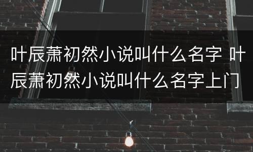 叶辰萧初然小说叫什么名字 叶辰萧初然小说叫什么名字上门龙婿