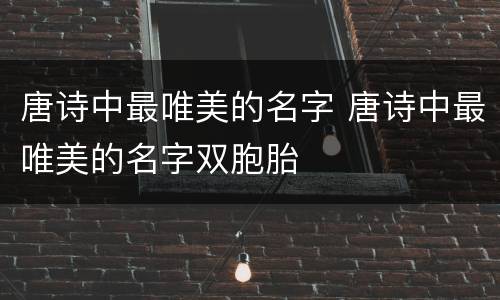 唐诗中最唯美的名字 唐诗中最唯美的名字双胞胎