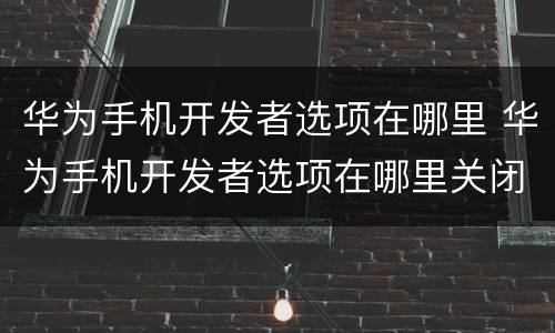 华为手机开发者选项在哪里 华为手机开发者选项在哪里关闭