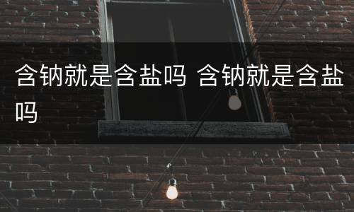 含钠就是含盐吗 含钠就是含盐吗